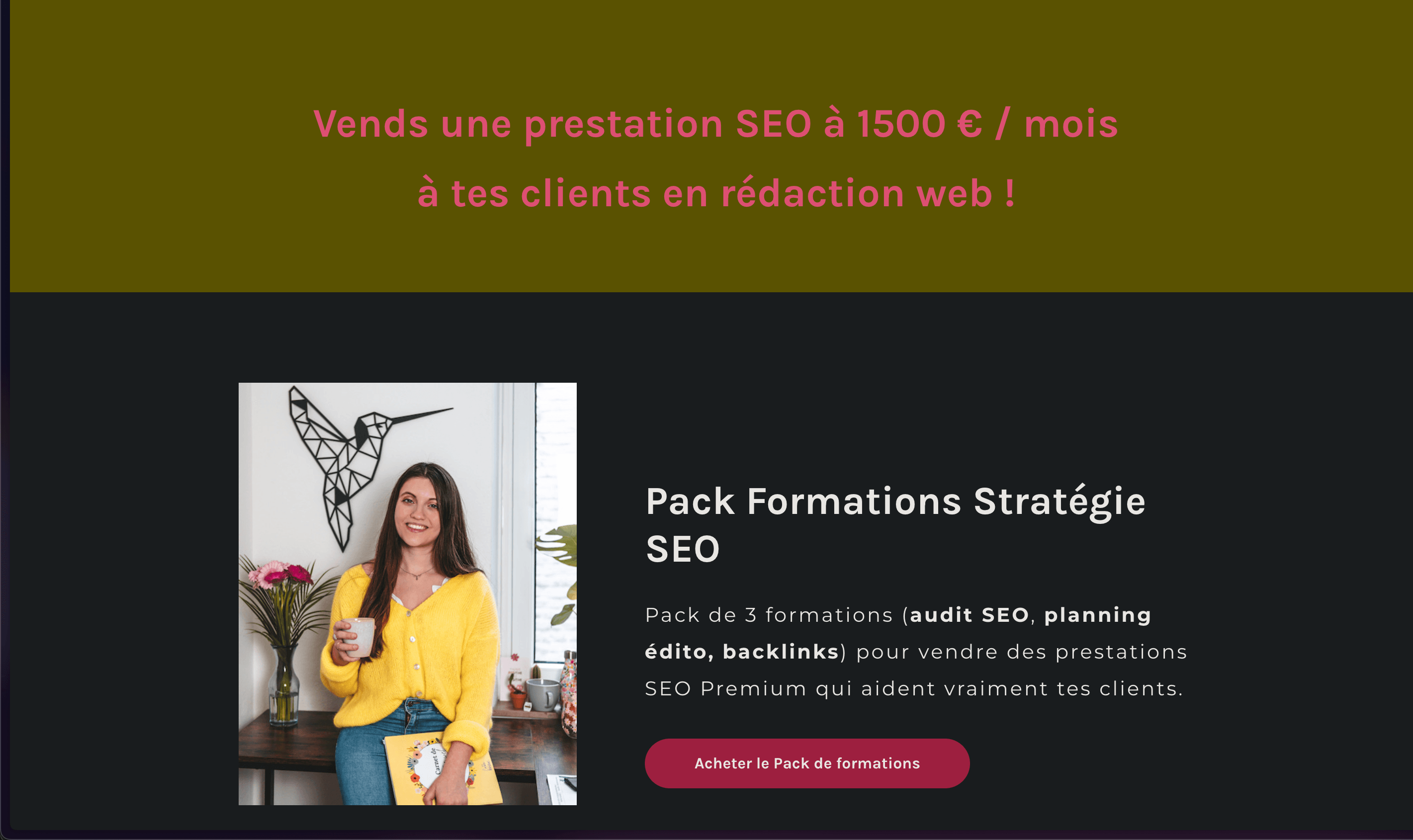 Google sanctionnera le contenu généré par l'IA - Les dernières nouvelles sur le référencement naturel 4 Vends une prestation SEO à 1500 € / mois à tes clients en rédaction web !